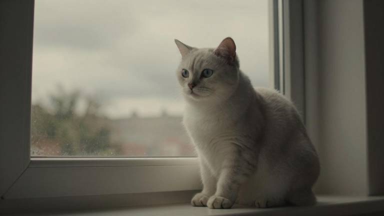 央行:完善绿色金融体系 深入推进绿色金融改革创新试验区建设 央行:完善绿色金融体系 深入推进绿色金融改革创新试验区建设第三张图