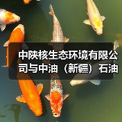 中陕核生态环境有限公司与中油(新疆)石油工程有限公司EPC项目管理公司签署战略合作框架协议(图3) 中陕核生态环境有限公司与中油(新疆)石油工程有限公司EPC项目管理公司签署战略合作框架协议(图3)