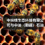 中陕核生态环境有限公司与中油(新疆)石油工程有限公司EPC项目管理公司签署战略合作框架协议(图4) 中陕核生态环境有限公司与中油(新疆)石油工程有限公司EPC项目管理公司签署战略合作框架协议(图4)