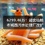 6299.46万!湖北仙桃市城西污水处理厂改扩提标及配套设施工程项目(EPC)招标(图1) 6299.46万!湖北仙桃市城西污水处理厂改扩提标及配套设施工程项目(EPC)招标(图1)