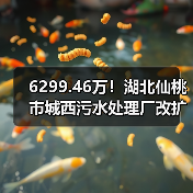 6299.46万!湖北仙桃市城西污水处理厂改扩提标及配套设施工程项目(EPC)招标(图4) 6299.46万!湖北仙桃市城西污水处理厂改扩提标及配套设施工程项目(EPC)招标(图4)