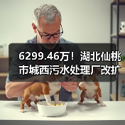 6299.46万!湖北仙桃市城西污水处理厂改扩提标及配套设施工程项目(EPC)招标(图3) 6299.46万!湖北仙桃市城西污水处理厂改扩提标及配套设施工程项目(EPC)招标(图3)