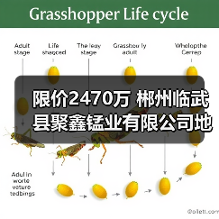 限价2470万 郴州临武县聚鑫锰业有限公司地块污染土壤及地下水风险管控工程(一期)EPC招标 限价2470万 郴州临武县聚鑫锰业有限公司地块污染土壤及地下水风险管控工程(一期)EPC招标