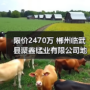 限价2470万 郴州临武县聚鑫锰业有限公司地块污染土壤及地下水风险管控工程(一期)EPC招标 限价2470万 郴州临武县聚鑫锰业有限公司地块污染土壤及地下水风险管控工程(一期)EPC招标