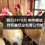 限价2470万 郴州临武县聚鑫锰业有限公司地块污染土壤及地下水风险管控工程(一期)EPC招标 限价2470万 郴州临武县聚鑫锰业有限公司地块污染土壤及地下水风险管控工程(一期)EPC招标