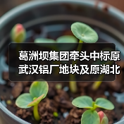 葛洲坝集团牵头中标原武汉铝厂地块及原湖北省供销合作社社有资产经营管理公司地块土壤污染修复治理工程!(图4) 葛洲坝集团牵头中标原武汉铝厂地块及原湖北省供销合作社社有资产经营管理公司地块土壤污染修复治理工程!(图4)