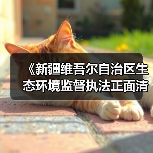 《新疆维吾尔自治区生态环境监督执法正面清单实施细则》发布(图4) 《新疆维吾尔自治区生态环境监督执法正面清单实施细则》发布(图4)