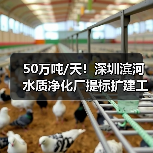 50万吨/天!深圳滨河水质净化厂提标扩建工程项目一阶段通水调试顺利进行!(图1) 50万吨/天!深圳滨河水质净化厂提标扩建工程项目一阶段通水调试顺利进行!(图1)