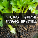 50万吨/天!深圳滨河水质净化厂提标扩建工程项目一阶段通水调试顺利进行!(图2) 50万吨/天!深圳滨河水质净化厂提标扩建工程项目一阶段通水调试顺利进行!(图2)