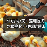 50万吨/天!深圳滨河水质净化厂提标扩建工程项目一阶段通水调试顺利进行!(图3) 50万吨/天!深圳滨河水质净化厂提标扩建工程项目一阶段通水调试顺利进行!(图3)