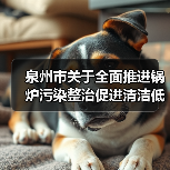 泉州市关于全面推进锅炉污染整治促进清洁低碳转型的意见 泉州市关于全面推进锅炉污染整治促进清洁低碳转型的意见