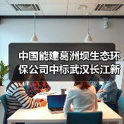 中国能建葛洲坝生态环保公司中标武汉长江新区土壤修复项目(图2) 中国能建葛洲坝生态环保公司中标武汉长江新区土壤修复项目(图2)