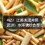 4亿!江苏洮滆片区(武进)水环境综合整治工程2024年度工程勘察设计、采购、施工工程总承包(EPC一体化)招标 4亿!江苏洮滆片区(武进)水环境综合整治工程2024年度工程勘察设计、采购、施工工程总承包(EPC一体化)招标