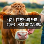 4亿!江苏洮滆片区(武进)水环境综合整治工程2024年度工程勘察设计、采购、施工工程总承包(EPC一体化)招标 4亿!江苏洮滆片区(武进)水环境综合整治工程2024年度工程勘察设计、采购、施工工程总承包(EPC一体化)招标