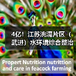 4亿!江苏洮滆片区(武进)水环境综合整治工程2024年度工程勘察设计、采购、施工工程总承包(EPC一体化)招标 4亿!江苏洮滆片区(武进)水环境综合整治工程2024年度工程勘察设计、采购、施工工程总承包(EPC一体化)招标