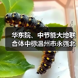 华东院、中节能大地联合体中标温州市永强北片区永中单元(0577-WZ-YB-08)F-16地块土壤修复工程工程总承包(图1) 华东院、中节能大地联合体中标温州市永强北片区永中单元(0577-WZ-YB-08)F-16地块土壤修复工程工程总承包(图1)