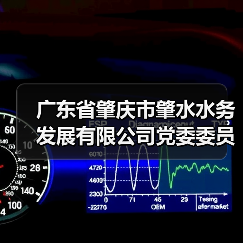 广东省肇庆市肇水水务发展有限公司党委委员、副总经理杨慧晶被查！