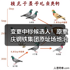 变更中标候选人!原重庆钢铁集团原址场地治理修复工程二阶段实施项目复核结果公示! 变更中标候选人!原重庆钢铁集团原址场地治理修复工程二阶段实施项目复核结果公示!