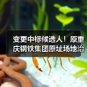 变更中标候选人!原重庆钢铁集团原址场地治理修复工程二阶段实施项目复核结果公示! 变更中标候选人!原重庆钢铁集团原址场地治理修复工程二阶段实施项目复核结果公示!