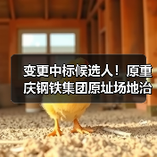变更中标候选人!原重庆钢铁集团原址场地治理修复工程二阶段实施项目复核结果公示! 变更中标候选人!原重庆钢铁集团原址场地治理修复工程二阶段实施项目复核结果公示!