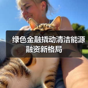绿色金融撬动清洁能源融资新格局(图3) 绿色金融撬动清洁能源融资新格局(图3)