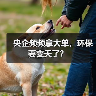 央企频频拿大单,环保要变天了?(图3) 央企频频拿大单,环保要变天了?(图3)