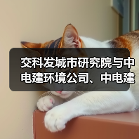 交科发城市研究院与中电建环境公司、中电建航空港公司签订战略合作协议 交科发城市研究院与中电建环境公司、中电建航空港公司签订战略合作协议