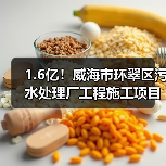 1.6亿!威海市环翠区污水处理厂工程施工项目中标结果公示(图2) 1.6亿!威海市环翠区污水处理厂工程施工项目中标结果公示(图2)