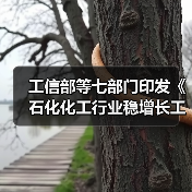 工信部等七部门印发《石化化工行业稳增长工作方案》！（图4）