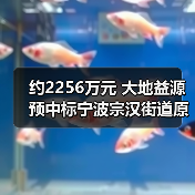 约2256万元 大地益源预中标宁波宗汉街道原东方铜业(冶炼)地块生态治理提升工程(图4) 约2256万元 大地益源预中标宁波宗汉街道原东方铜业(冶炼)地块生态治理提升工程(图4)