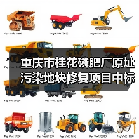 重庆市桂花磷肥厂原址污染地块修复项目中标候选人公示(图3) 重庆市桂花磷肥厂原址污染地块修复项目中标候选人公示(图3)