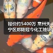 报价约5400万 常州天宁区郑陆冠今化工地块土壤修复与风险管控及填埋固废处置工程施工中标候选人公示(图3) 报价约5400万 常州天宁区郑陆冠今化工地块土壤修复与风险管控及填埋固废处置工程施工中标候选人公示(图3)