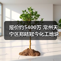 报价约5400万 常州天宁区郑陆冠今化工地块土壤修复与风险管控及填埋固废处置工程施工中标候选人公示(图4) 报价约5400万 常州天宁区郑陆冠今化工地块土壤修复与风险管控及填埋固废处置工程施工中标候选人公示(图4)