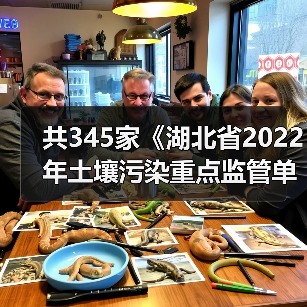 共345家《湖北省2022年土壤污染重点监管单位名录》发布!(图2) 共345家《湖北省2022年土壤污染重点监管单位名录》发布!(图2)