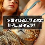 陕西省低碳近零碳试点拟确定名单公示!(图3) 陕西省低碳近零碳试点拟确定名单公示!(图3)