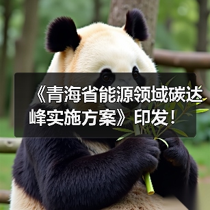 《青海省能源领域碳达峰实施方案》印发!(图4) 《青海省能源领域碳达峰实施方案》印发!(图4)