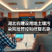 湖北省建设用地土壤污染风险管控和修复名录(2022年第七批)(图4) 湖北省建设用地土壤污染风险管控和修复名录(2022年第七批)(图4)