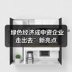 绿色经济成中资企业“走出去”新亮点（图4）