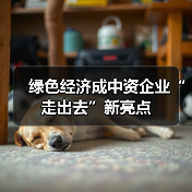 绿色经济成中资企业“走出去”新亮点（图1）