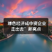 绿色经济成中资企业“走出去”新亮点（图2）