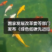 国家发展改革委等部门发布《绿色低碳先进技术示范工程实施方案》!(图3) 国家发展改革委等部门发布《绿色低碳先进技术示范工程实施方案》!(图3)