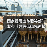 国家发展改革委等部门发布《绿色低碳先进技术示范工程实施方案》!(图1) 国家发展改革委等部门发布《绿色低碳先进技术示范工程实施方案》!(图1)