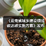 《云南省城乡建设领域碳达峰实施方案》发布(图3) 《云南省城乡建设领域碳达峰实施方案》发布(图3)