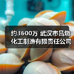约3600万 武汉市吕墩化工制造有限责任公司污染地块修复项目工程总承包EPC(第一标段)招标(图1) 约3600万 武汉市吕墩化工制造有限责任公司污染地块修复项目工程总承包EPC(第一标段)招标(图1)
