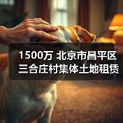 1500万 北京市昌平区三合庄村集体土地租赁房地块土壤污染修复技术服务公开招标（图1）