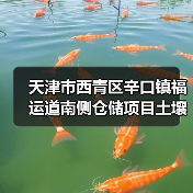 天津市西青区辛口镇福运道南侧仓储项目土壤污染治理工程招标公告（图2）