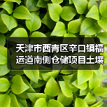 天津市西青区辛口镇福运道南侧仓储项目土壤污染治理工程招标公告（图3）