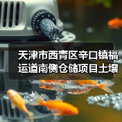 天津市西青区辛口镇福运道南侧仓储项目土壤污染治理工程招标公告（图4）