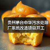 贵州茅台中华污水处理厂系统改造项目开工(图1) 贵州茅台中华污水处理厂系统改造项目开工(图1)