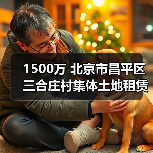 1500万 北京市昌平区三合庄村集体土地租赁房地块土壤污染修复技术服务公开招标（图4）